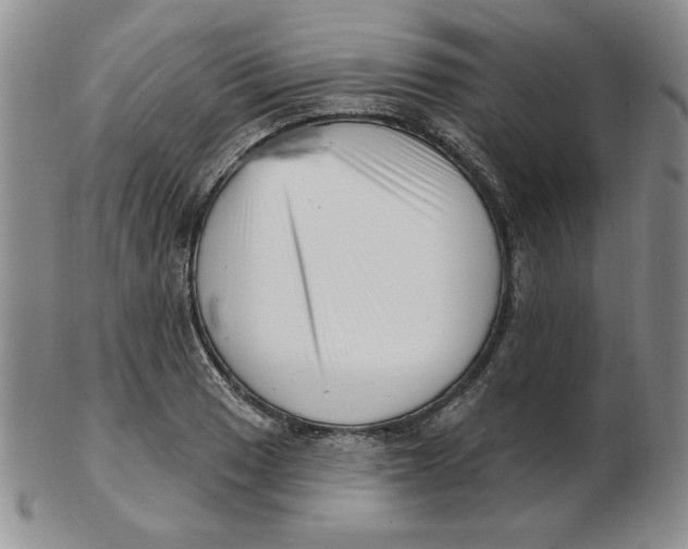 X0000102871033200809081201