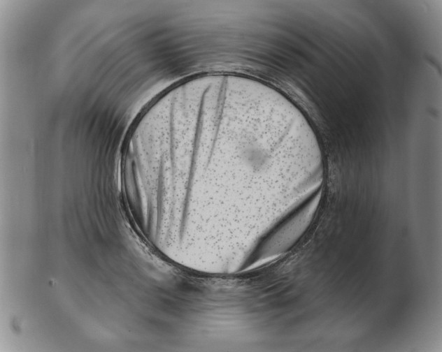 X0000102871036200809081201