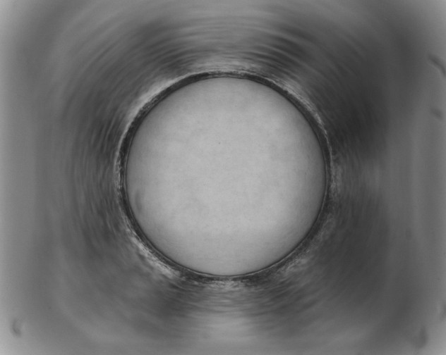 X0000102871037200809081201