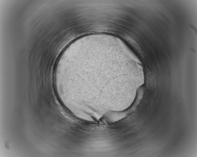 X0000102871039200809081201