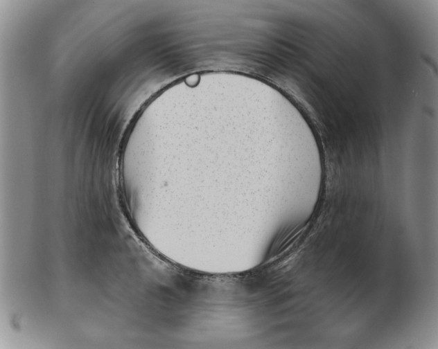 X0000102871040200809081201