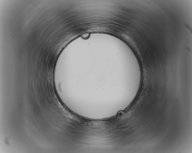 X0000102871041200809081201