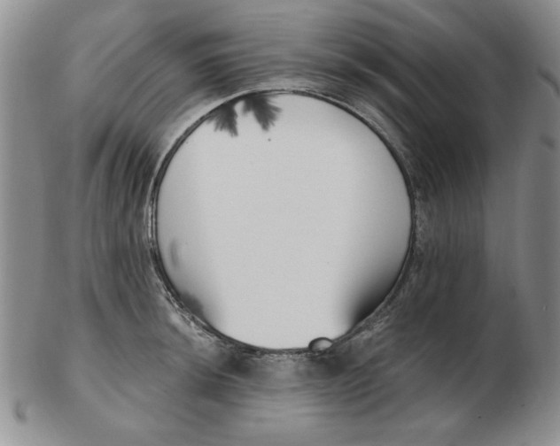 X0000102871044200809081201