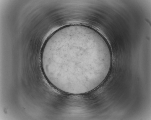 X0000102871045200809081201