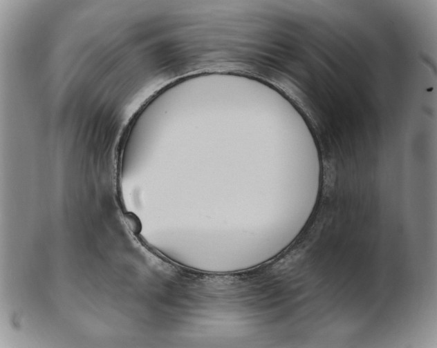 X0000102871046200809081201