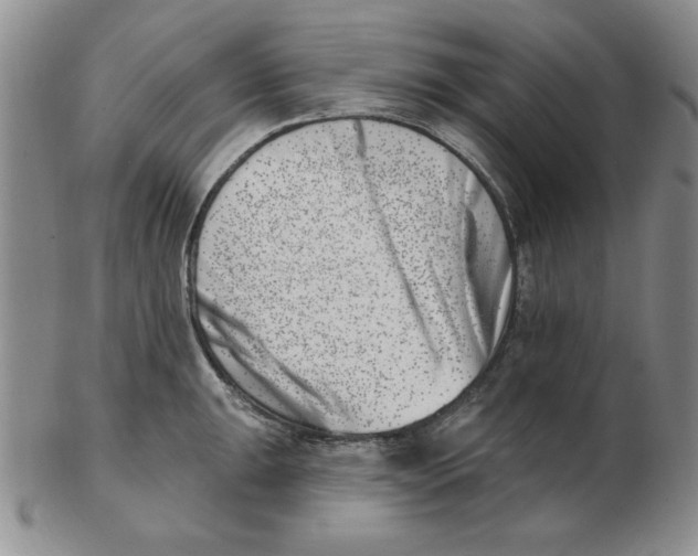 X0000102871047200809081201