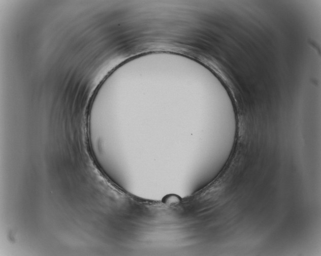 X0000102871048200809081201