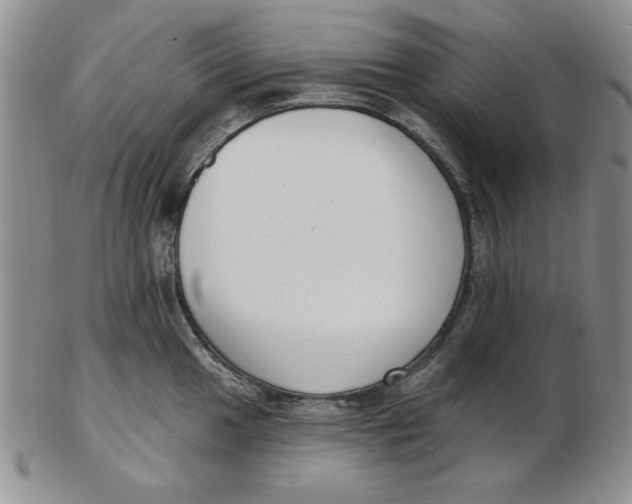 X0000102871049200809081201