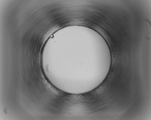 X0000102871050200809081201