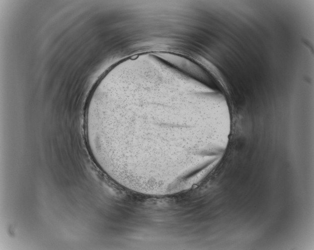 X0000102871051200809081201