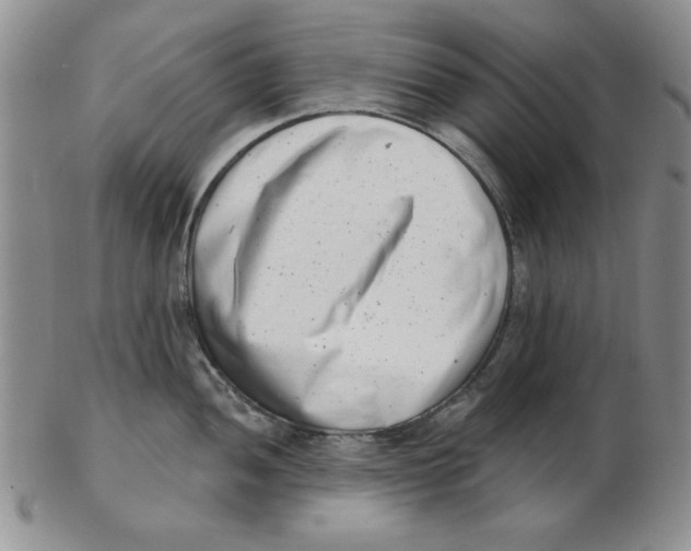 X0000102871052200809081201