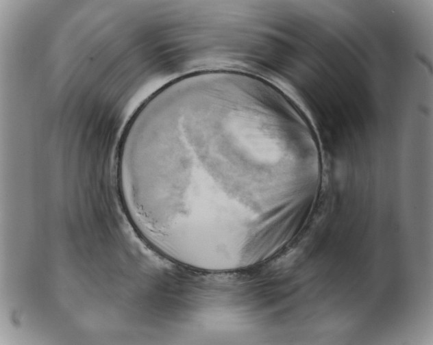 X0000102871053200809081201