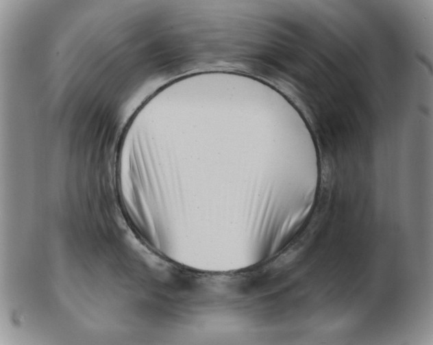 X0000102871054200809081201