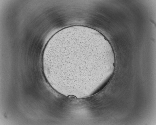 X0000102871056200809081201