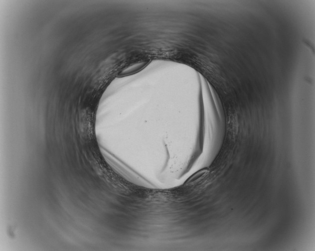 X0000102871058200809081201