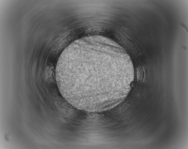 X0000102871059200809081201