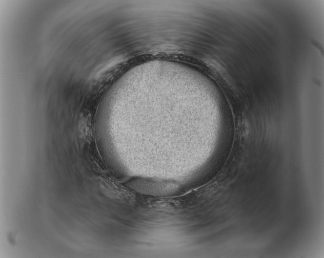 X0000102871063200809081201