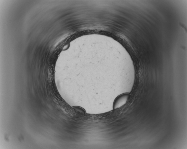 X0000102871064200809081201