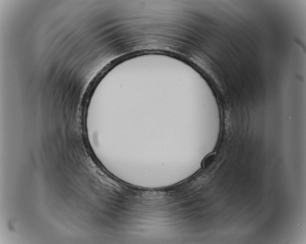 X0000102871068200809081200