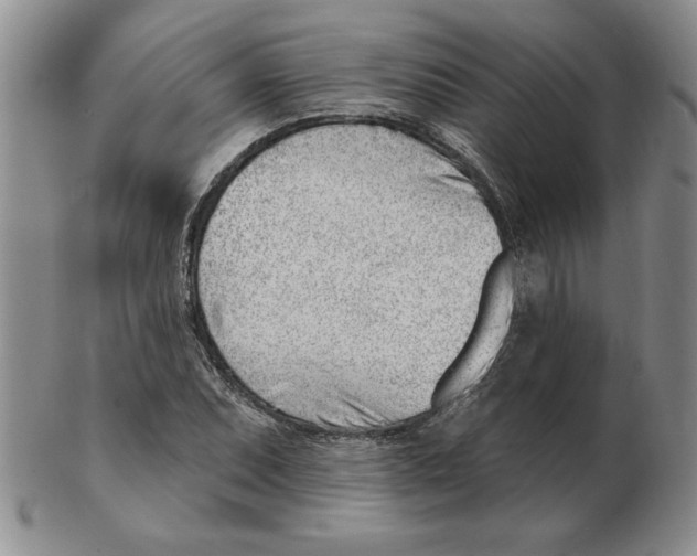 X0000102871071200809081200