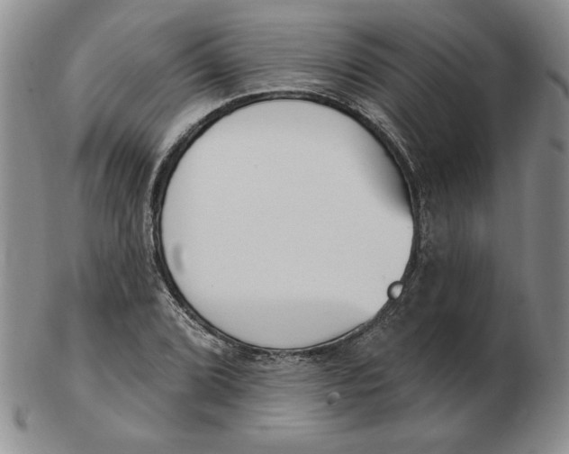 X0000102871072200809081200