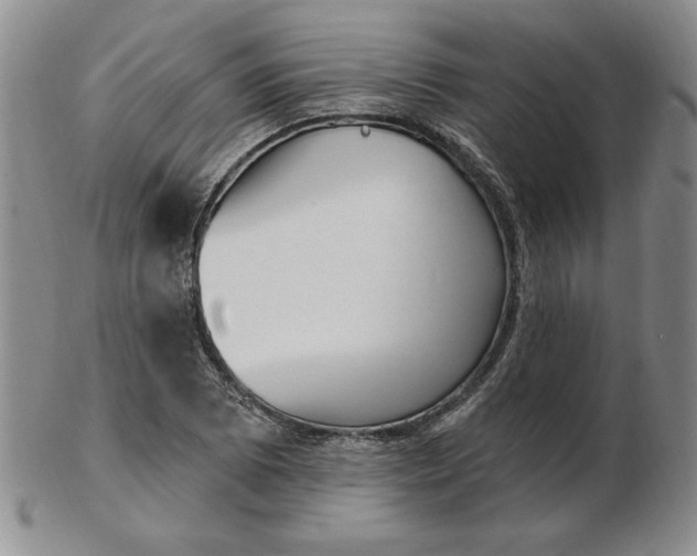 X0000102871073200809081200