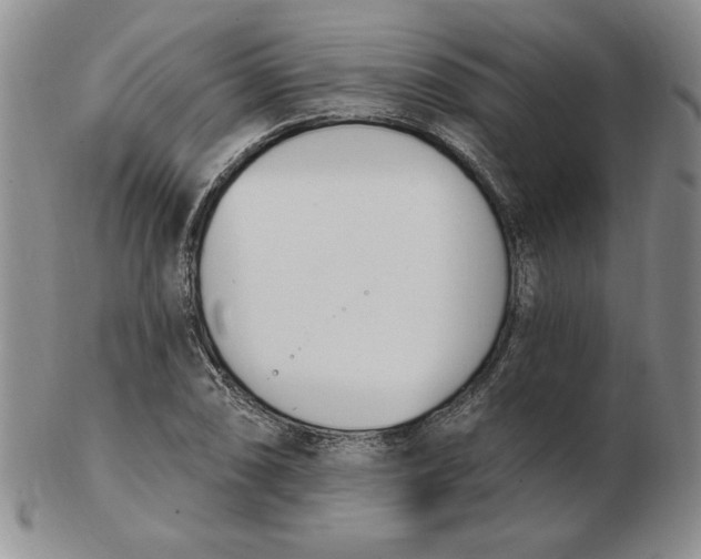 X0000102871074200809081200