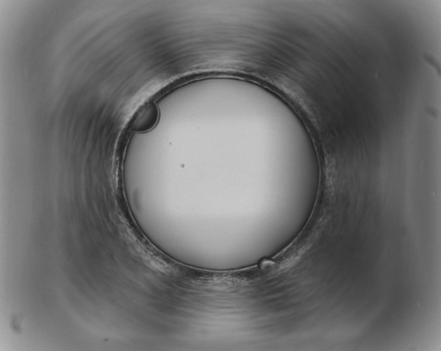 X0000102871077200809081200