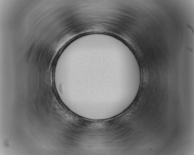 X0000102871078200809081200