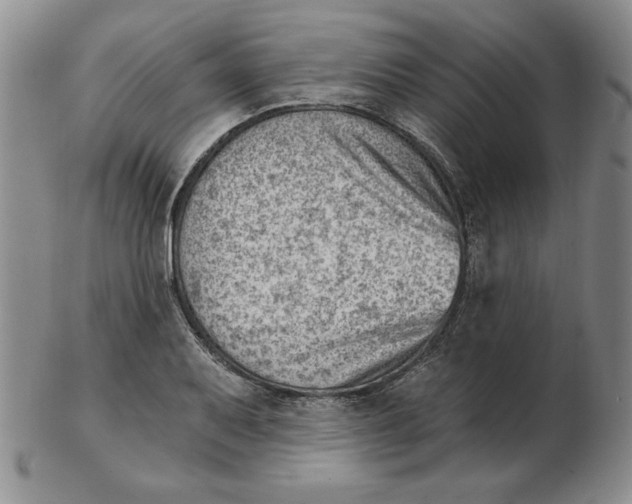 X0000102871079200809081200