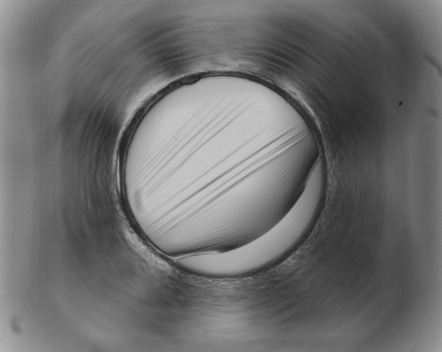 X0000102871080200809081200