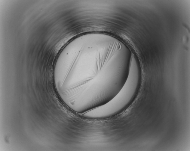 X0000102871081200809081200