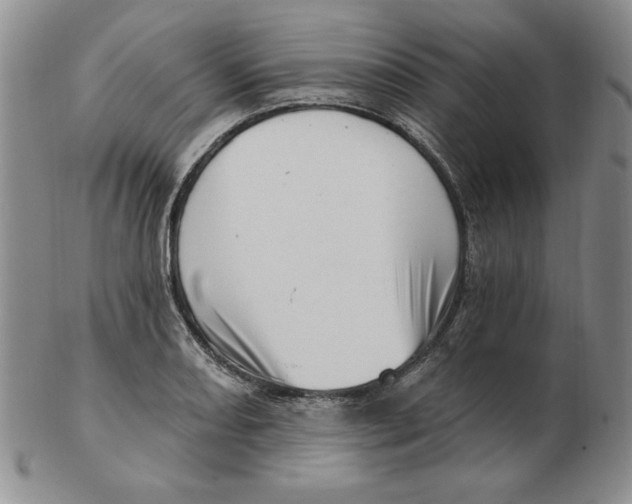 X0000102871082200809081200