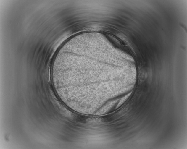 X0000102871083200809081200