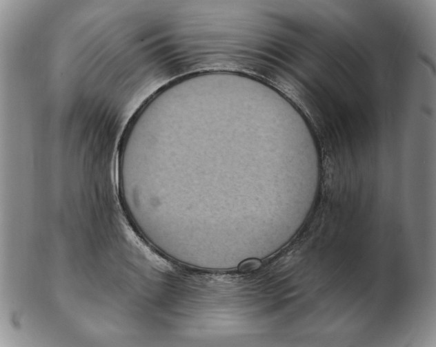 X0000102871084200809081200