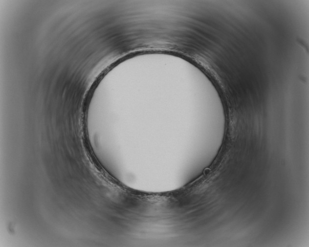 X0000102871085200809081200