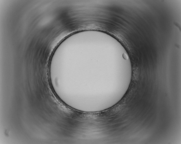 X0000102871086200809081200