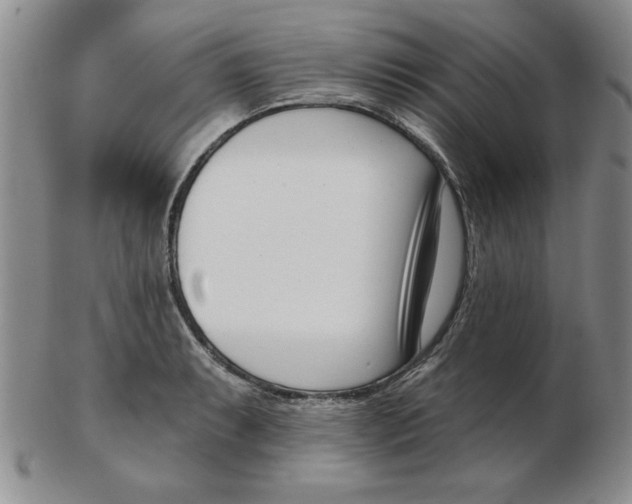 X0000102871087200809081200