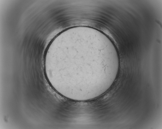 X0000102871088200809081200