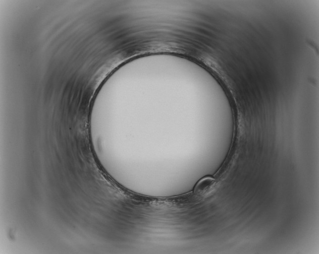 X0000102871089200809081200