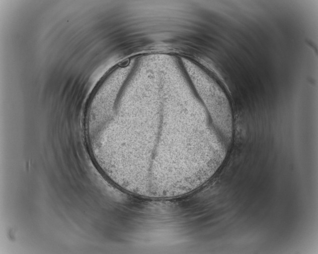 X0000102871091200809081200