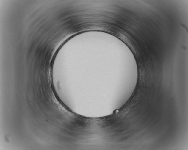 X0000102871092200809081200