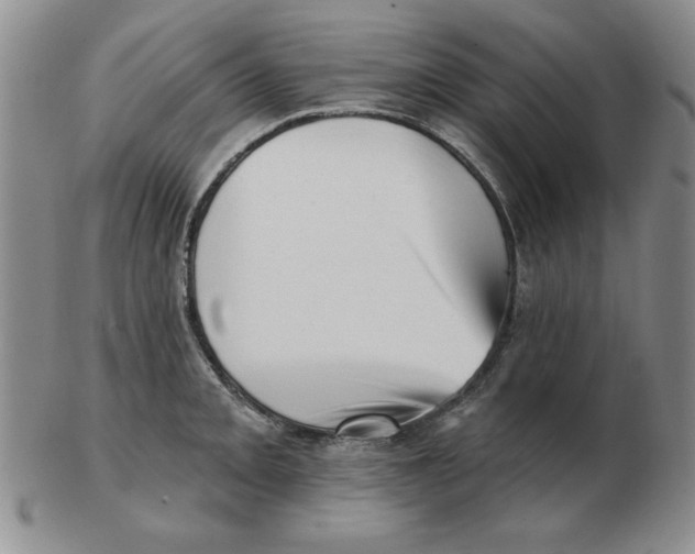 X0000102871093200809081200