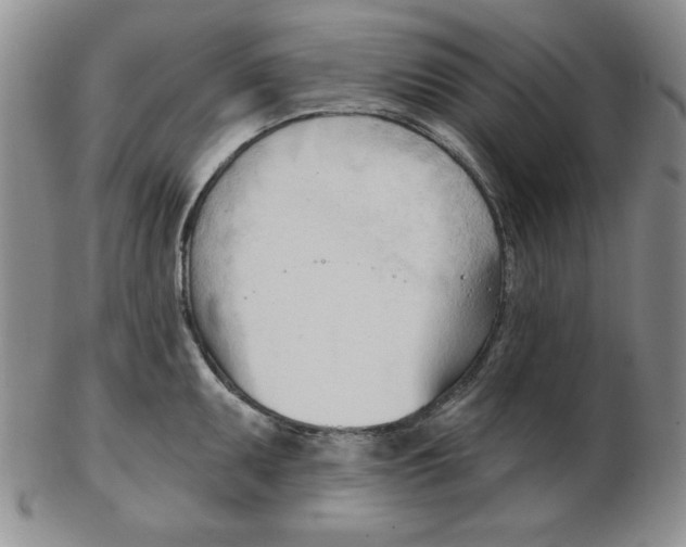 X0000102871095200809081200