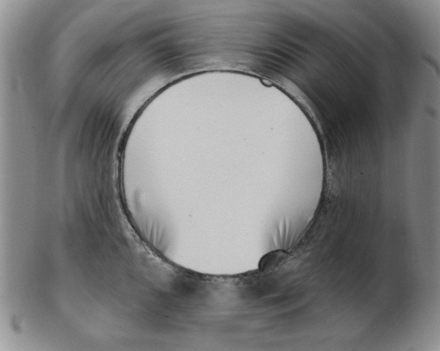 X0000102871096200809081200