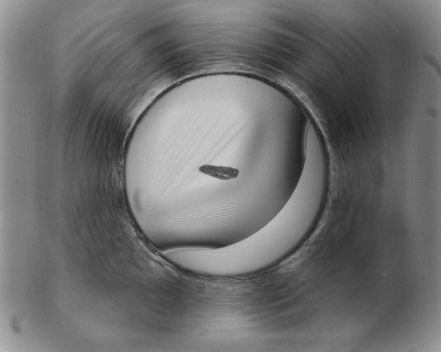 X0000102871097200809081200