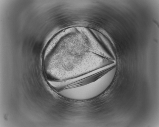 X0000102871099200809081200