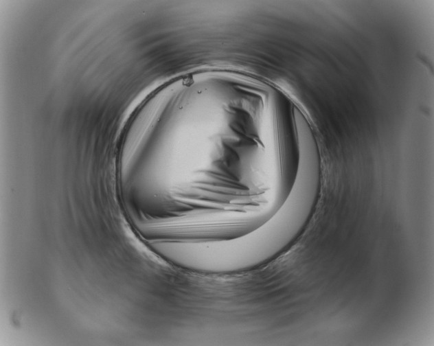 X0000102871100200809081200