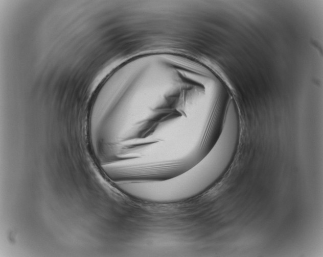 X0000102871101200809081200