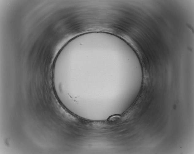 X0000102871102200809081200